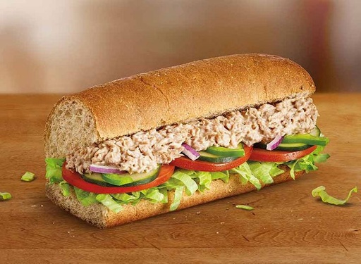 Fish Sub